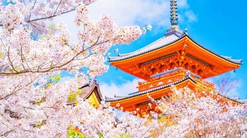 Kyoto & Nara Classic Day Tour with Friendly Deer