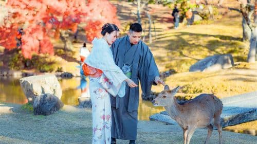 Klasyczna wycieczka jednodniowa do Kioto i Nary z Friendly Deer Day Tours