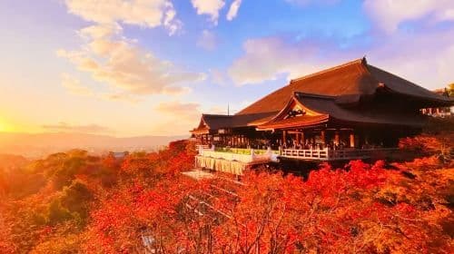 Klasyczna wycieczka jednodniowa do Kioto i Nary z Friendly Deer Day Tours