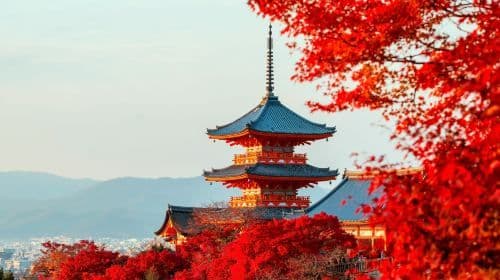 Kyoto & Nara Highlights Day Tour [From Osaka • 7 Major Spots In A Day • Kiyomizudera Temple / Fushimi Inari Taisha / Nara Park / Kasugataisha Shrine / Byodoin Temple / Uji Omotesando / Todaiji Temple]