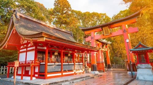 Kyoto & Nara Highlights Day Tour [From Osaka • 7 Major Spots In A Day • Kiyomizudera Temple / Fushimi Inari Taisha / Nara Park / Kasugataisha Shrine / Byodoin Temple / Uji Omotesando / Todaiji Temple]