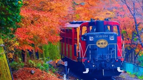 Kyoto Arashiyama + Kiyomizu-dera Temple 1-day tour Day Tours