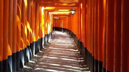 Wycieczka fotograficzna: Kioto Arashiyama + Park Nara + Fushimi Inari Taisha (wyjazd z Osaki/Kioto) Wycieczki jednodniowe
