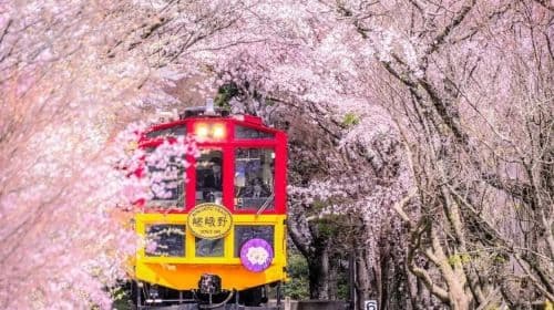 Kyoto Arashiyama + Sanzen-in 1-day tour, enjoy fall foliage and explore ancient temples and bamboo groves Day Tours