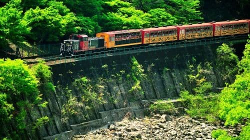 Kyoto Arashiyama + Sanzen-in 1-day tour, enjoy fall foliage and explore ancient temples and bamboo groves Day Tours