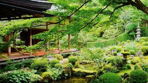 Kyoto Arashiyama + Sanzen-in 1-day tour, enjoy fall foliage and explore ancient temples and bamboo groves Day Tours