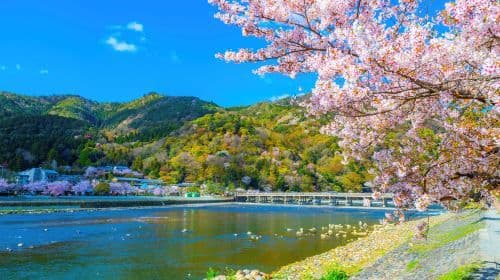 Excursão de um dia em Kyoto Arashiyama + Sanzen-in, passeio pelos bosques de bambu Day Tours