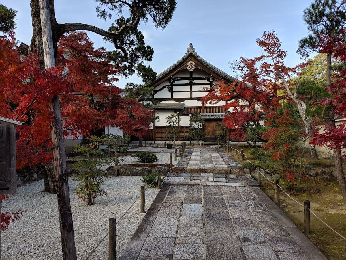 Kyoto Arashiyama 1-day Tour [Sagano Scenic Railway, Bamboo Forest Path, Tenryu-ji Temple] Visit Hidden Gems