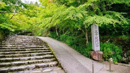 Jednodniowa wycieczka do Kyoto Arashiyama [Sagano Scenic Railway, Ścieżka w lesie bambusowym, Świątynia Tenryu-ji] Wycieczki do ukrytych perełek