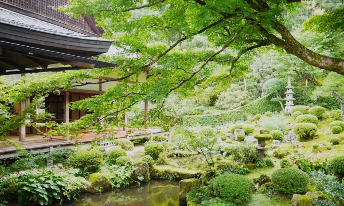 Kyoto Arashiyama Little Train Sanzenin Day Tour｜Depart from Osaka Shinsaibashi／Kyoto｜Japan