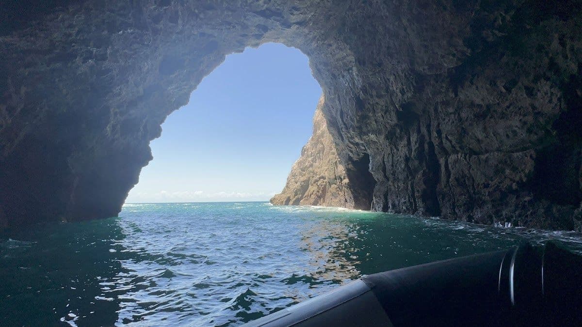 Cathedral Cove Boat Tour