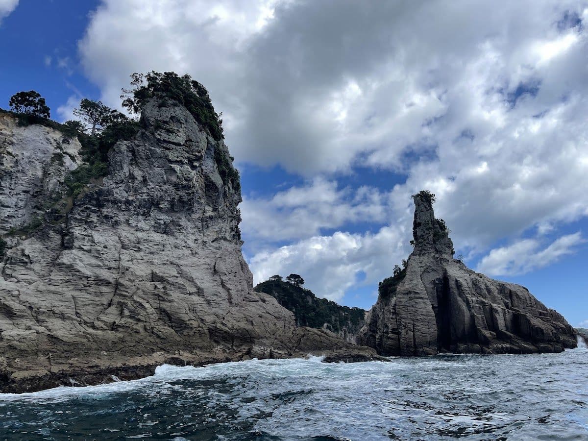 Cathedral Cove Boat Tour