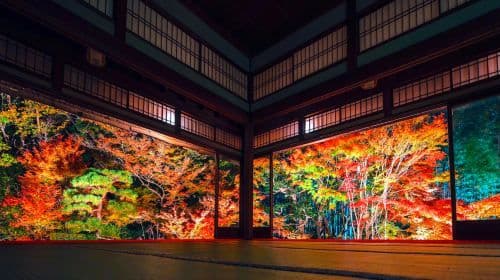 Tour de 1 día por el follaje otoñal de Kioto: Templo Nanzen-ji + Mercado Nishiki + Gion + Espectáculo de iluminación nocturna del Castillo Nijō
