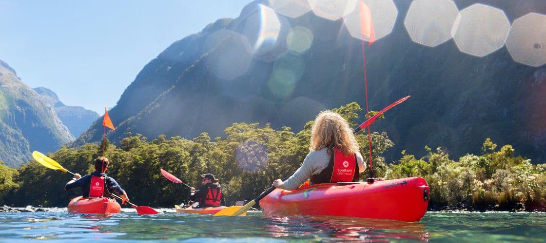 Cruise and Kayak Milford Sound Tour