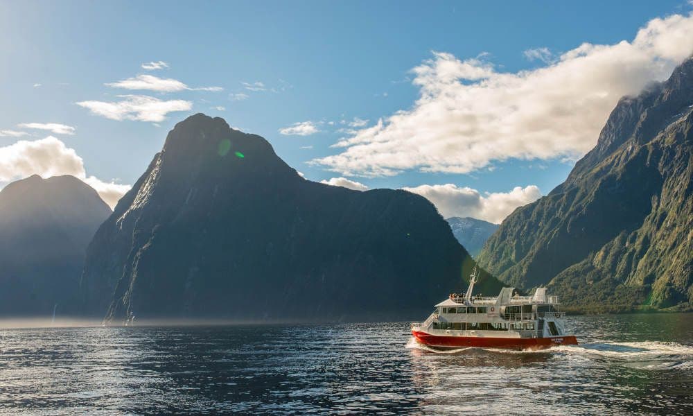 Cruise and Kayak Milford Sound Tour