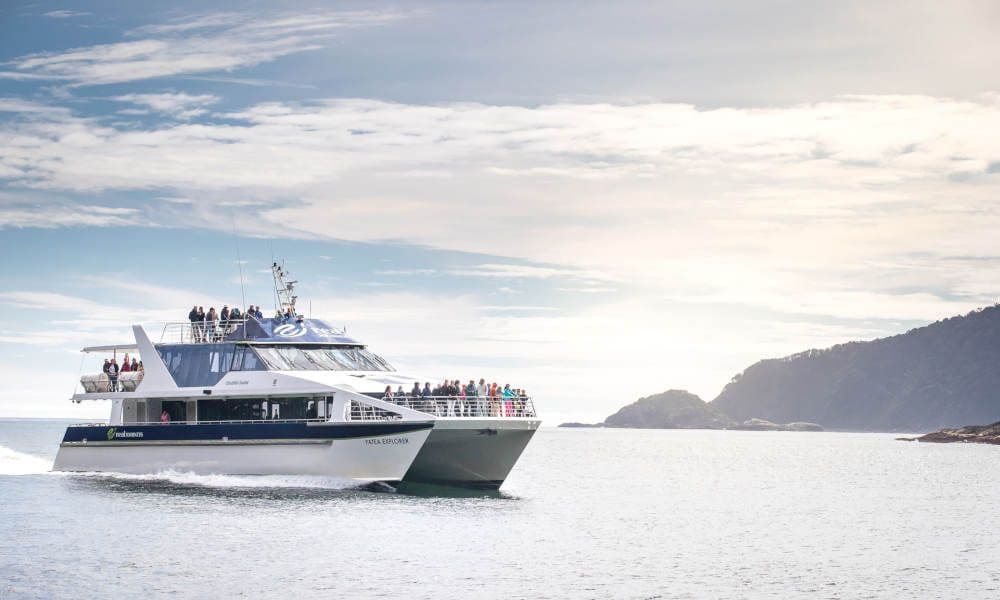 Doubtful Sound Wilderness Cruise from Manapouri