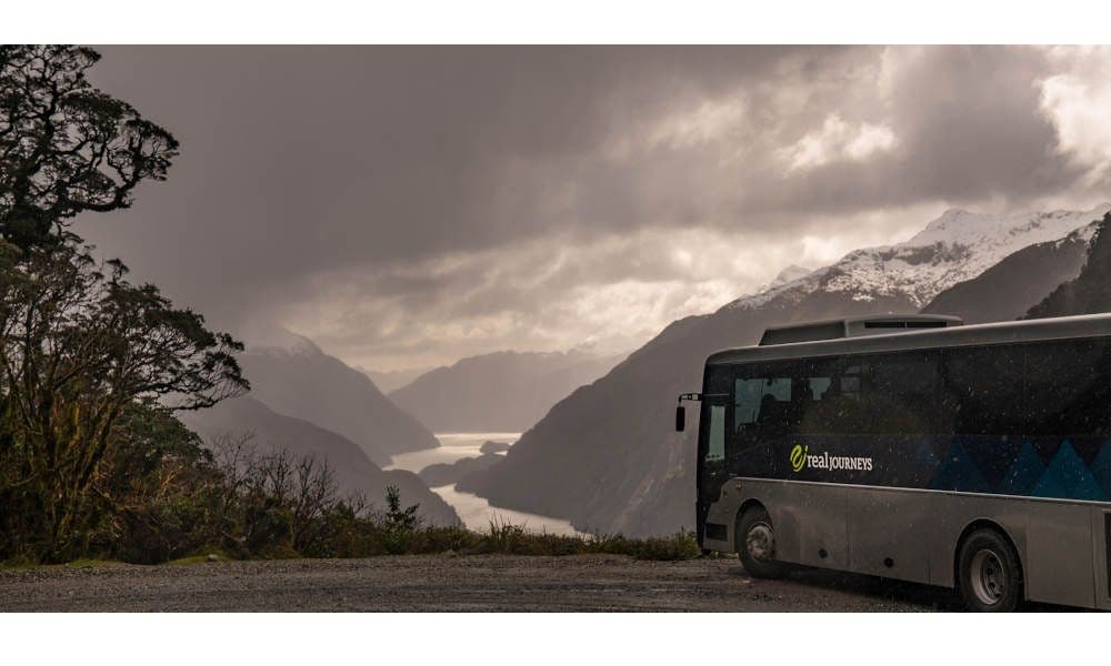 Doubtful Sound Wilderness Cruise from Manapouri