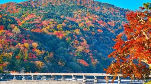 Kyoto Autumn Foliage Special: Minoh Falls, Sagano Romantic Train, Arashiyama Bamboo Forest, Nonomiya Shrine, Togetsukyo Bridge & Kinkakuji Temple One Day Tour (From Osaka) Day Tours