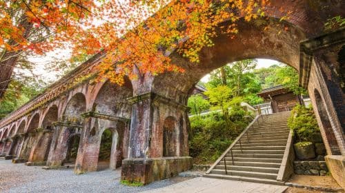 Speciale Foliage Autunnale a Kyoto: Minoh Falls, Sagano Romantic Train, Foresta di Bambù di Arashiyama, Santuario Nonomiya, Ponte Togetsukyo e Tempio Kinkakuji Tour di un giorno (da Osaka) Tour Giornalieri