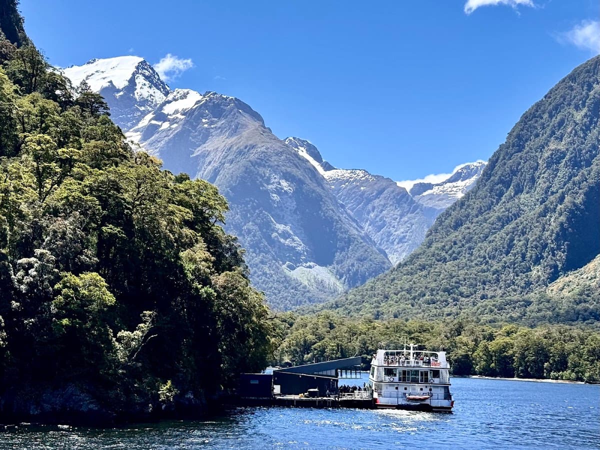 Milford Sound Cruise with Underwater Observatory - Morning Departure
