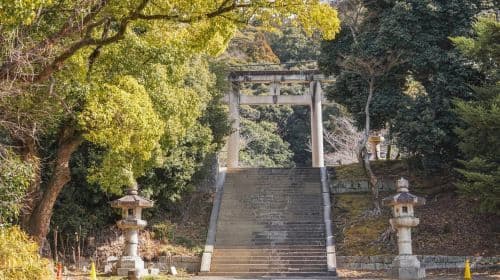 Kyoto from Above: Hike Mt. Amida with Kiyomizu Views Day Tours
