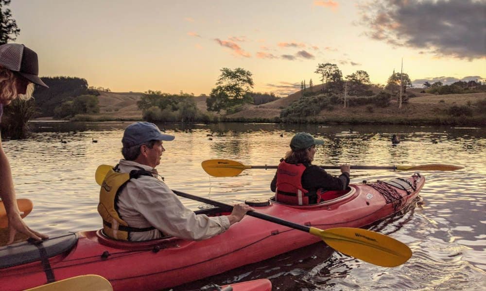 Tauranga Evening Glowworm Kayak Tour