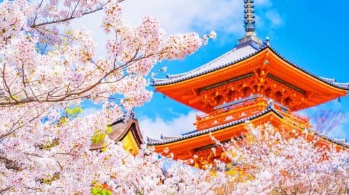 Kyoto Fushimi Inari Taisha + Kiyomizu-dera Temple 1-day tour Day Tours