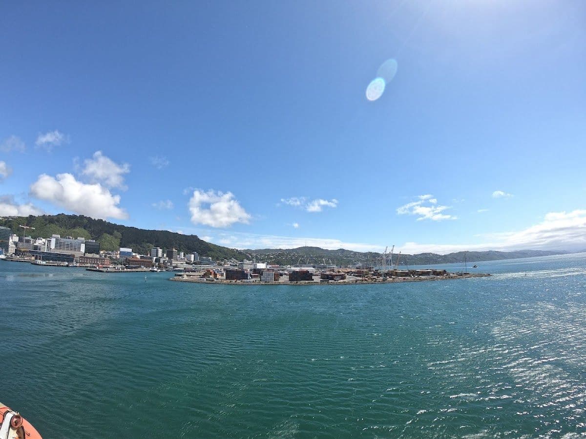 Wellington Harbour Helicopter Flight - 15 Minutes