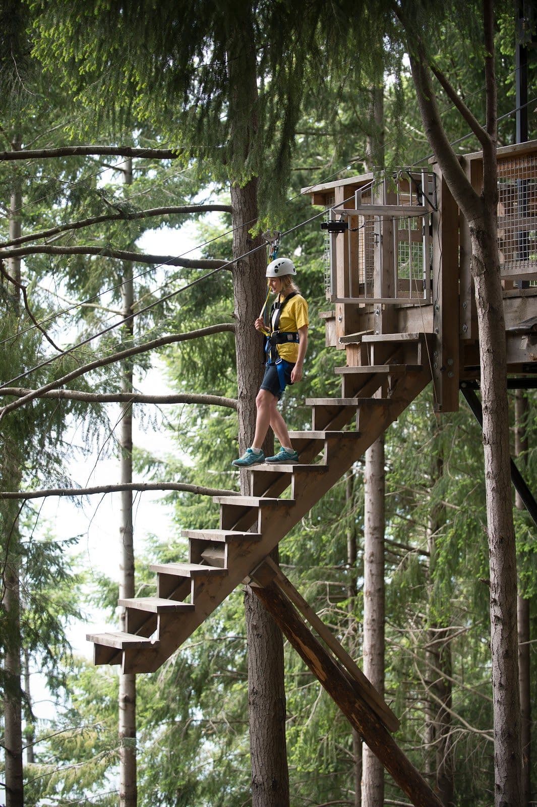 Ziptrek Kereru Tour