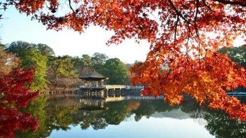 Kyoto Heritage Tour: Arashiyama, Fushimi Inari & Nara Park met lunch dagtochten