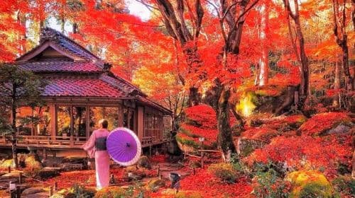 Kyoto Hiei-berg Enryaku-ji Tempel + Omihachiman + Kyorinbo Tempel dagtour met verlichte rode esdoorns, inclusief toegangsticket voor de verlichting Dagtochten