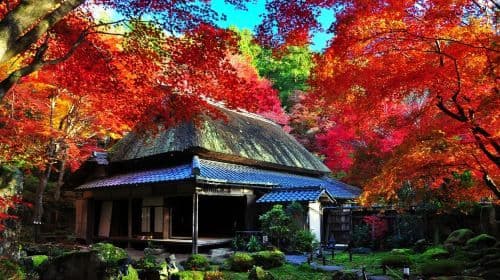 Kyoto Hiei-berg Enryaku-ji Tempel + Omihachiman + Kyorinbo Tempel dagtour met verlichte rode esdoorns, inclusief toegangsticket voor de verlichting Dagtochten