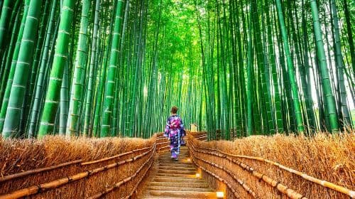Kyoto Kifune Shrine + Arashiyama + Sanzen-in 9名限定プレミアム少人数ツアー、列車体験付き Day Tours