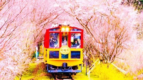 Kyoto Kifune Shrine + Arashiyama + Sanzen-in premium kleine groep van 9 personen, herfstbladeren bekijken