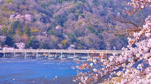 Kioto: Chram Kifune + Arashiyama + Sanzen-in – wycieczka premium w małej grupie (9 osób) z podziwianiem jesiennych liści