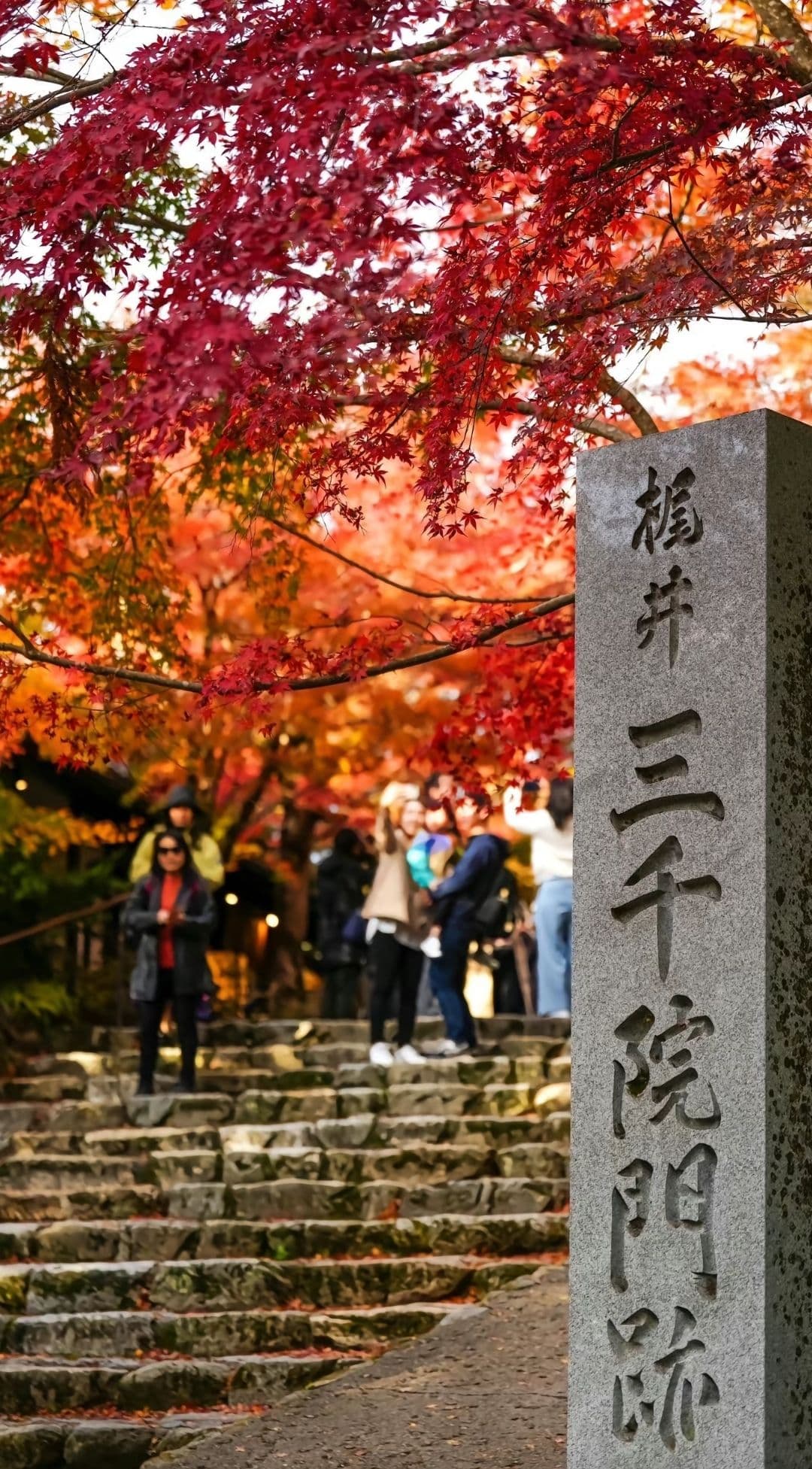Kyoto Kifune Shrine Arashiyama Sanzen-in Temple Day Trip