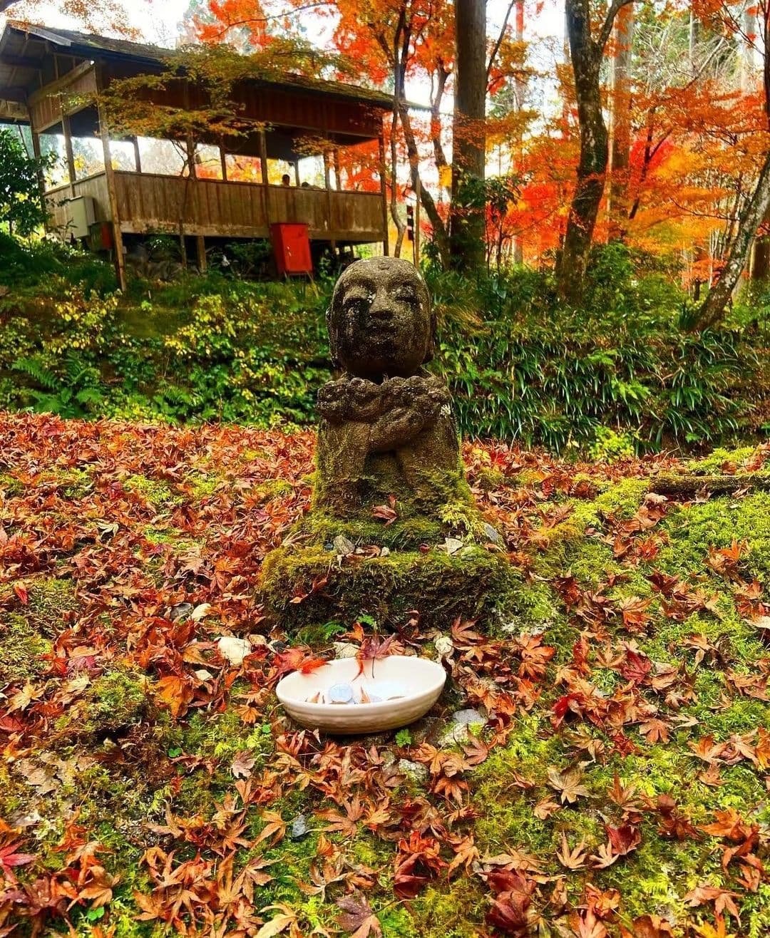 Kyoto Kifune Shrine Arashiyama Sanzen-in Temple Day Trip