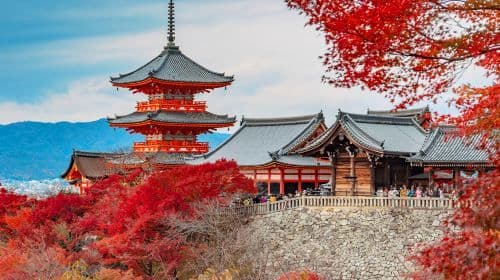 Peregrinação de um dia pelo Templo Kiyomizu-dera, Ninenzaka, Sannenzaka, Kinkaku-ji e Fushimi Inari Taisha em Kyoto para explorar o patrimônio milenar da cidade e apreciar a folhagem de outono