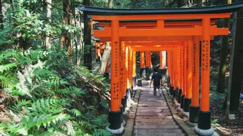Kyoto morning private guided tour: Avoid the crowds and enjoy a peaceful visit to Fushimi Inari, Nijō Castle, and Kinkaku-ji Day Tours