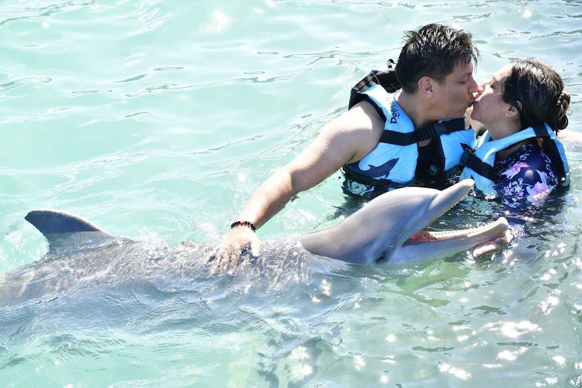 Dolphin Swim Adventure at Dolphin Discovery Isla Mujeres Ticket