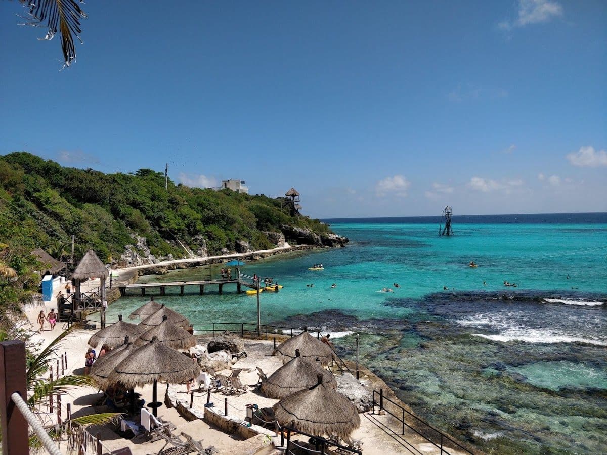 Garrafon Natural Reef Park and Dolphin Experience Ticket