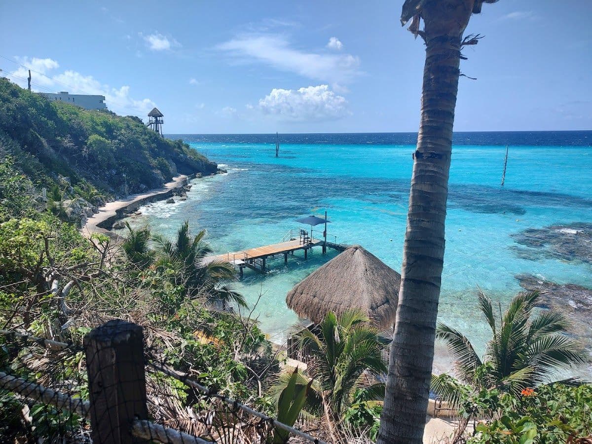 Garrafon Natural Reef Park and Dolphin Experience Ticket