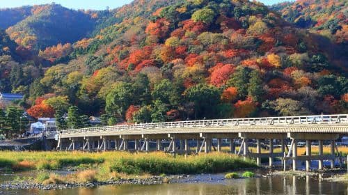 Kyoto one-day tour| Nijo Castle + Kinkakuji Temple + Fushimi Inari + Arashiyama Togetsukyo Bridge + Kimono Forest Day Tours