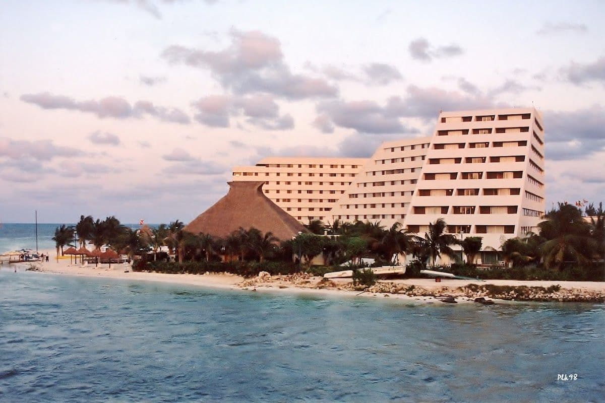 Delphinus dolphin experiences at Playa Mujeres – ticket only