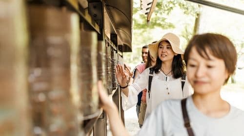 Kyoto Private & Personalized Full-Day Tour with a Local Guide Day Tours