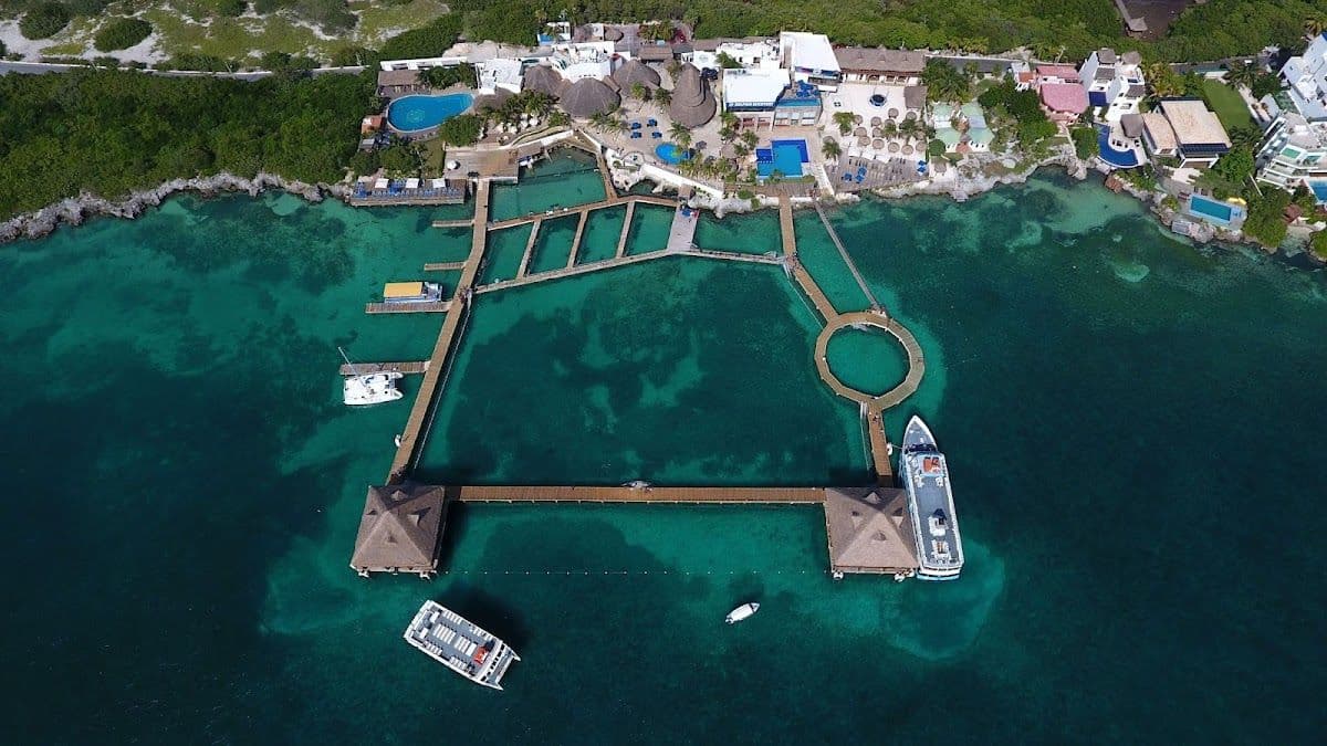 Dolphin Encounter at Isla Discovery Ticket