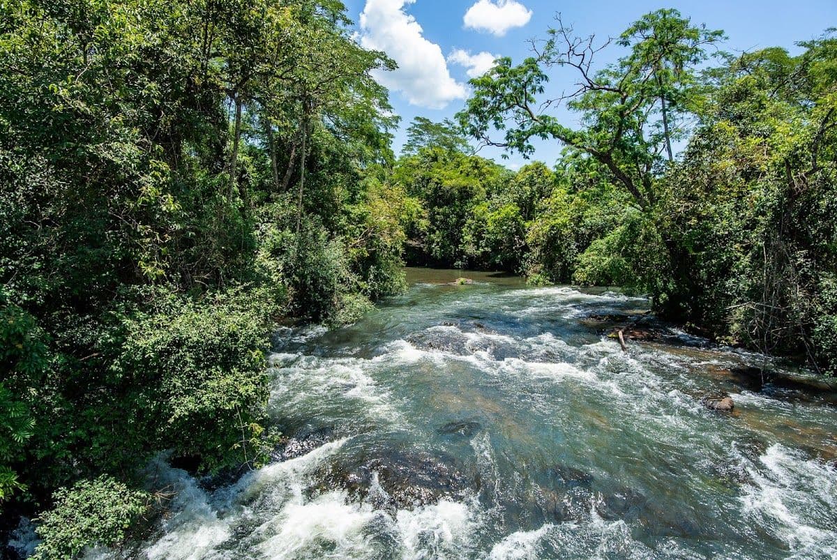 Iguassu Falls Full-Day Tour Brazilian and Argentinian Sides