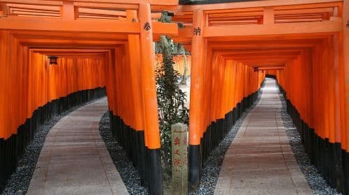 Kyoto UNESCO Treasures: Full-Day Bus Tour Day Tours