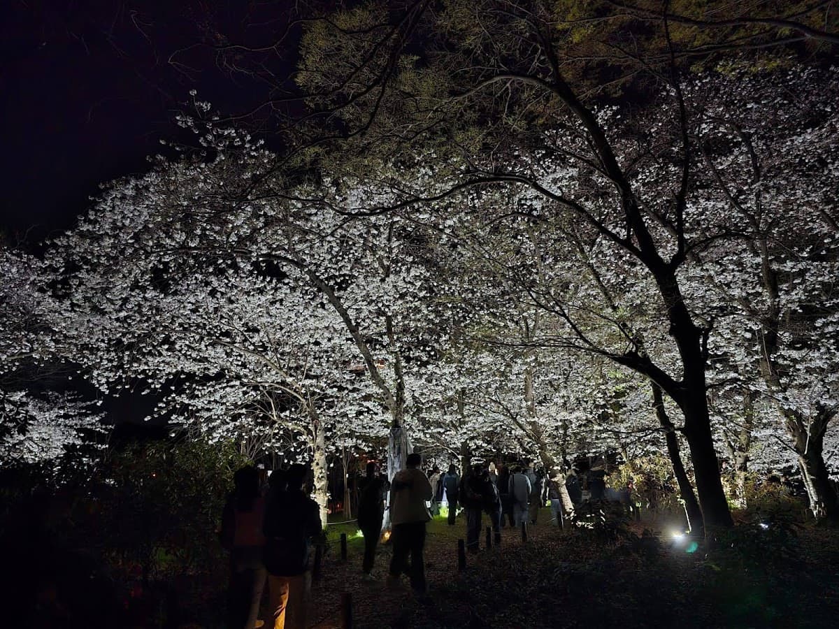 teamLab Botanical Garden Osaka