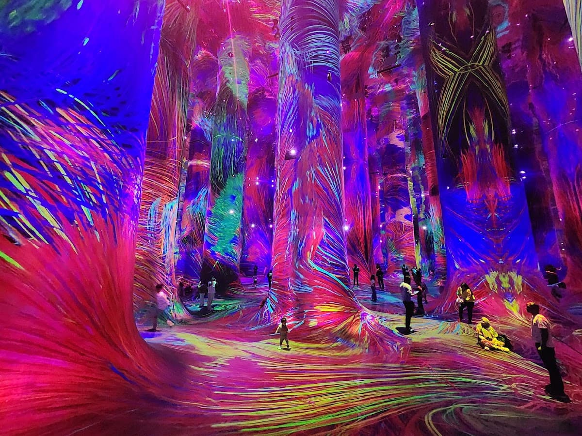 teamLab Phenomena Abu Dhabi
